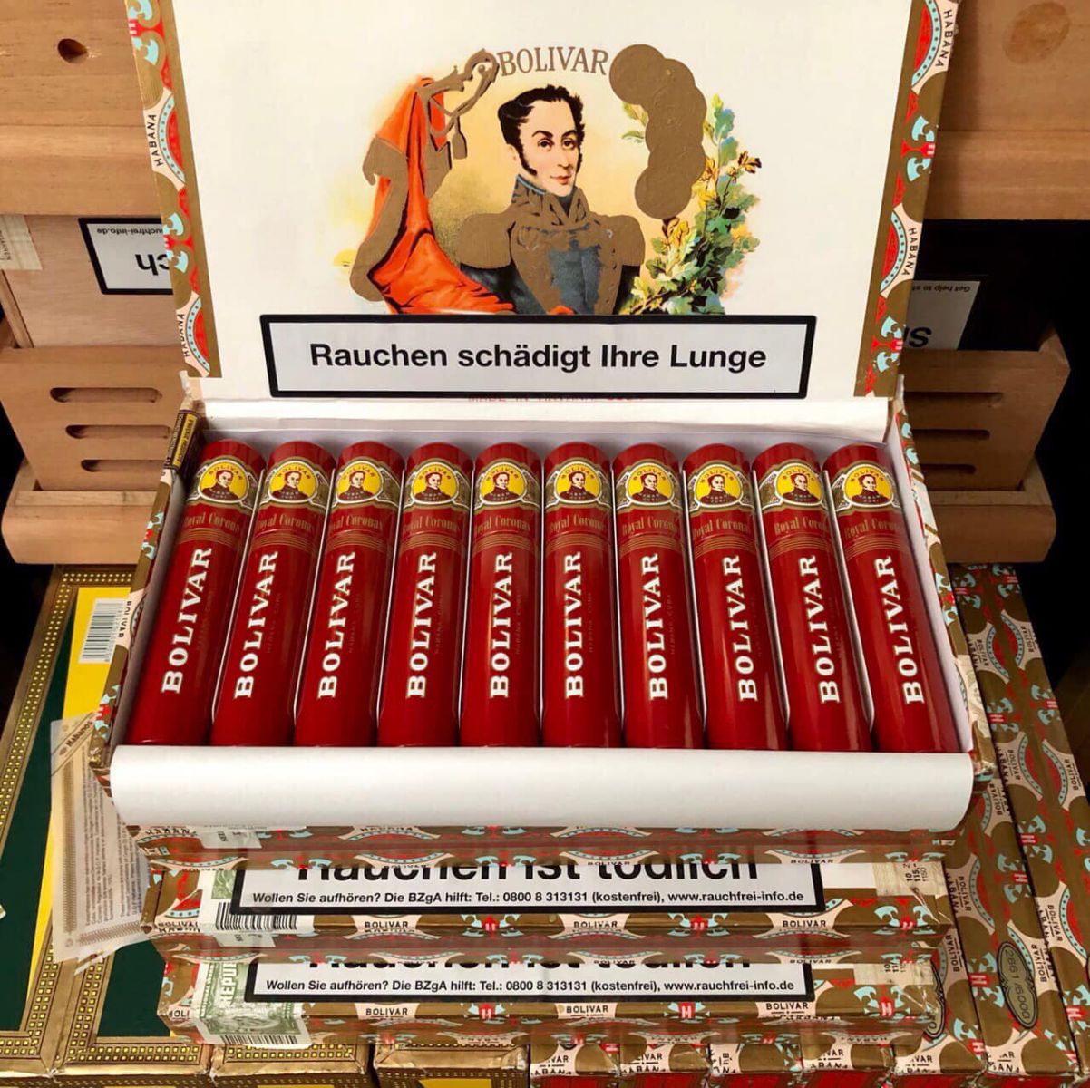 Bolivar Royal Coronas Tubos 4