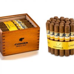 Xì gà Cohiba Siglo 6 VI – Hộp 25 điếu
