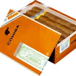 Cohiba Siglo 6 VI - Hộp Gỗ 10 Điếu Xì Gà Nhập Khẩu Chính Hãng
