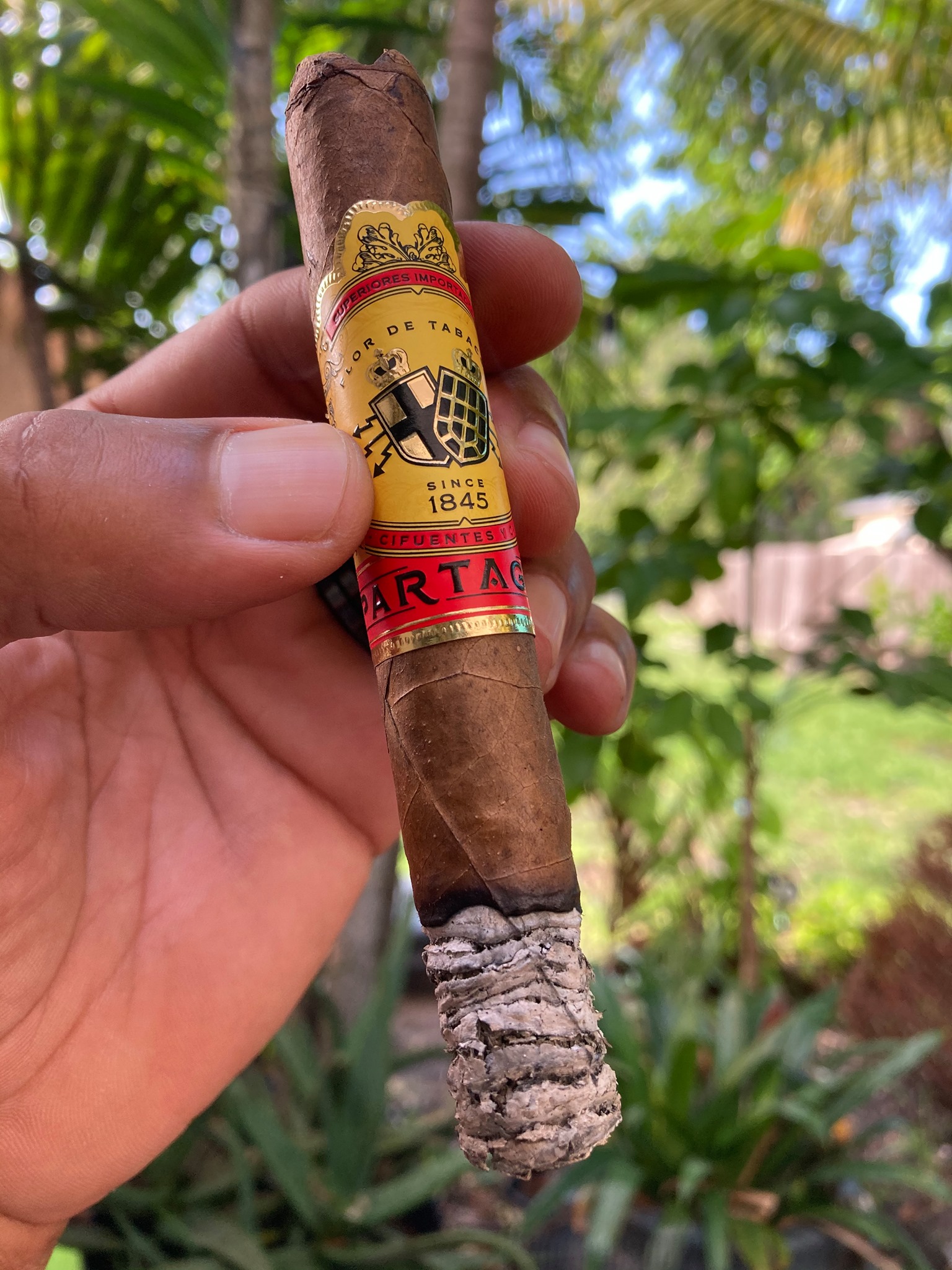 Partagas Naturals
