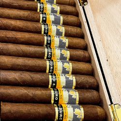 Xì gà Cohiba Genios Maduro 5 – Hộp 25 điếu