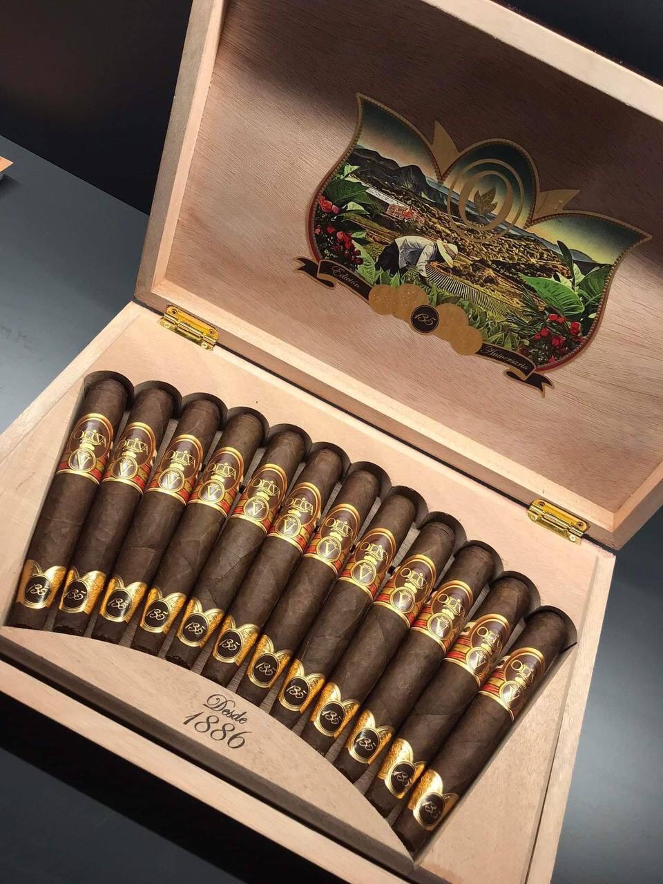 oliva 135 aniversario
