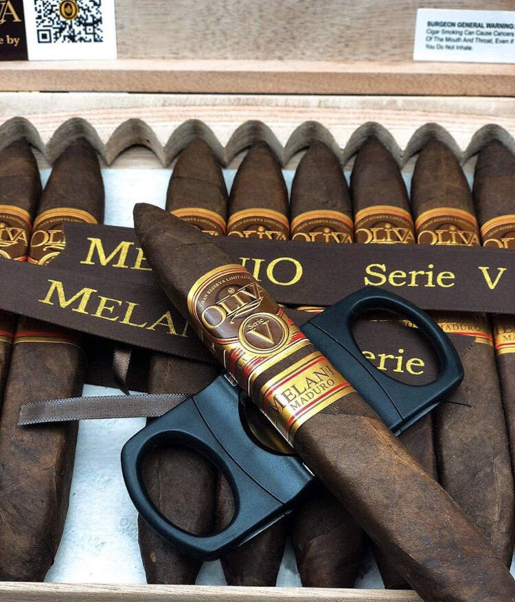 oliva serie v maduro figurado