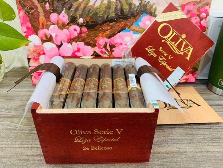 oliva serie v 24 belicoso