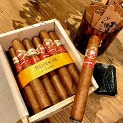 Xì Gà H.Upmann Magnum 46 – Hộp Gỗ 25 Điếu