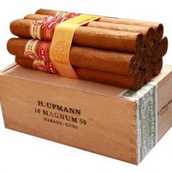 Xì Gà H. Upmann Magnum 50 - Hộp Gỗ 10 Điếu