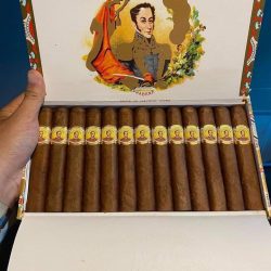 Xì Gà Bolivar Royal Coronas – Hộp 25 Điếu