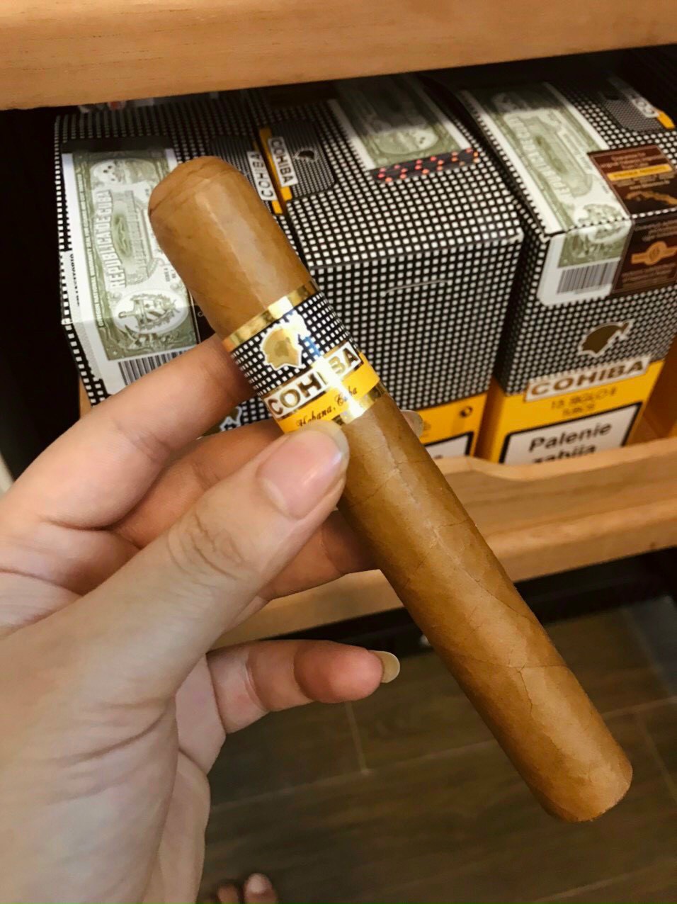 cohiba robusto