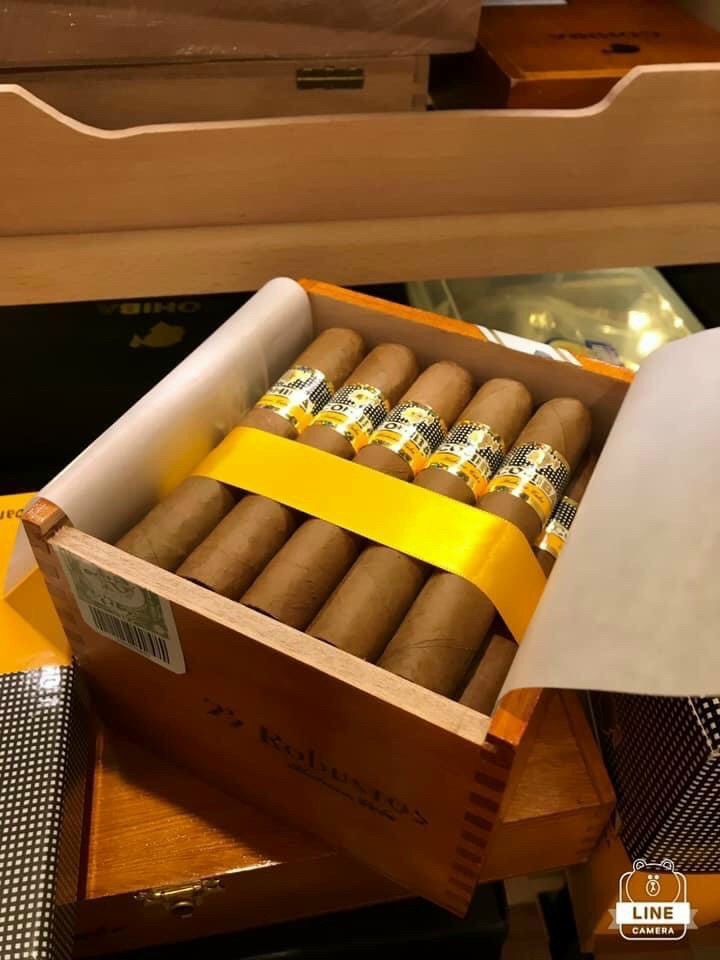 cohiba robusto