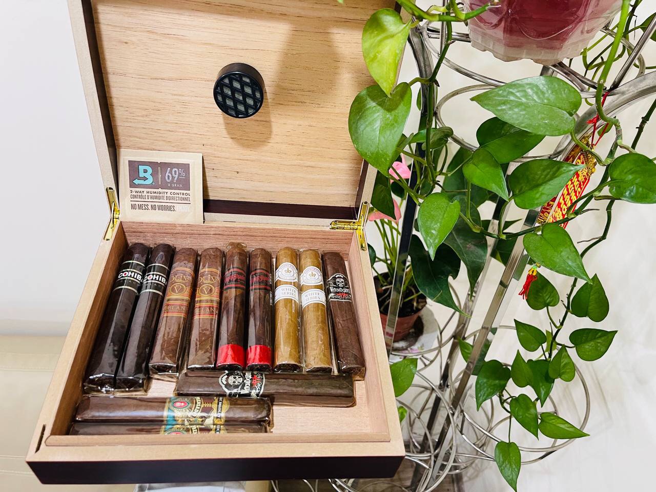 Cigar Samplers Premium 12-Cigar Collection