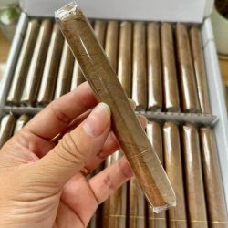 Xì Gà Candlelight Corona Sumatra – Hộp 100 Điếu