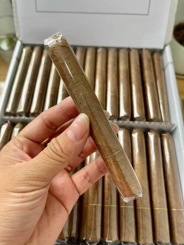 Candlelight Corona Sumatra