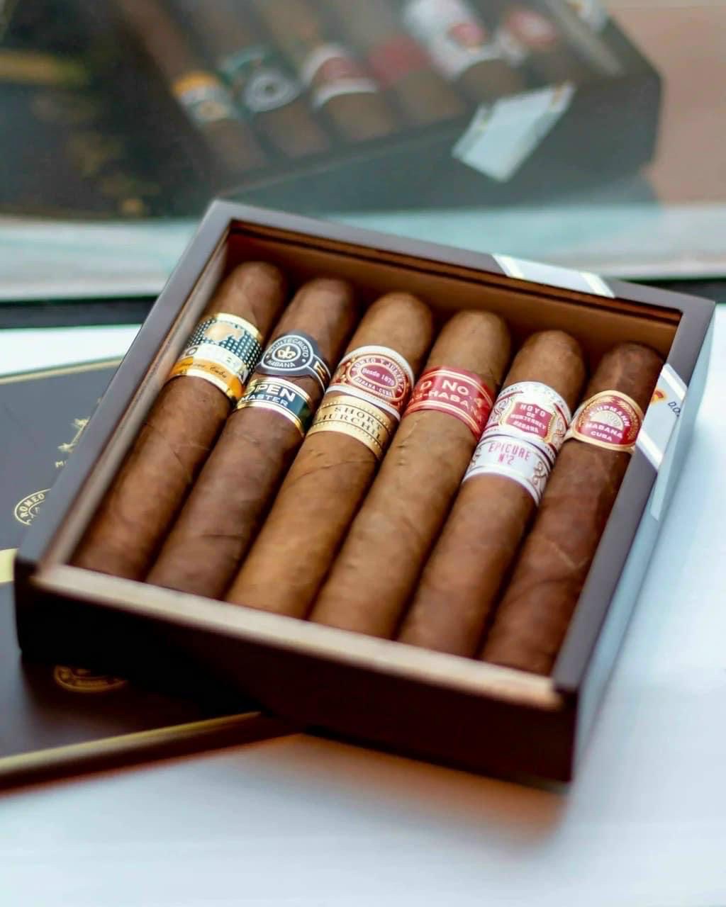 cohiba seleccion robusto