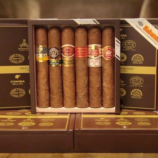 cohiba seleccion robusto