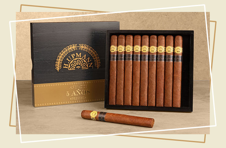 5ce80d38-55eb-42eb-8a89-553c24d75e21