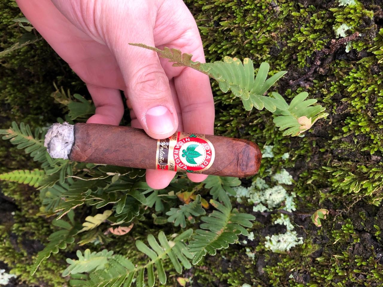 z5010213793439_1ca1c85de6daa1ab02589e42afeddeaf