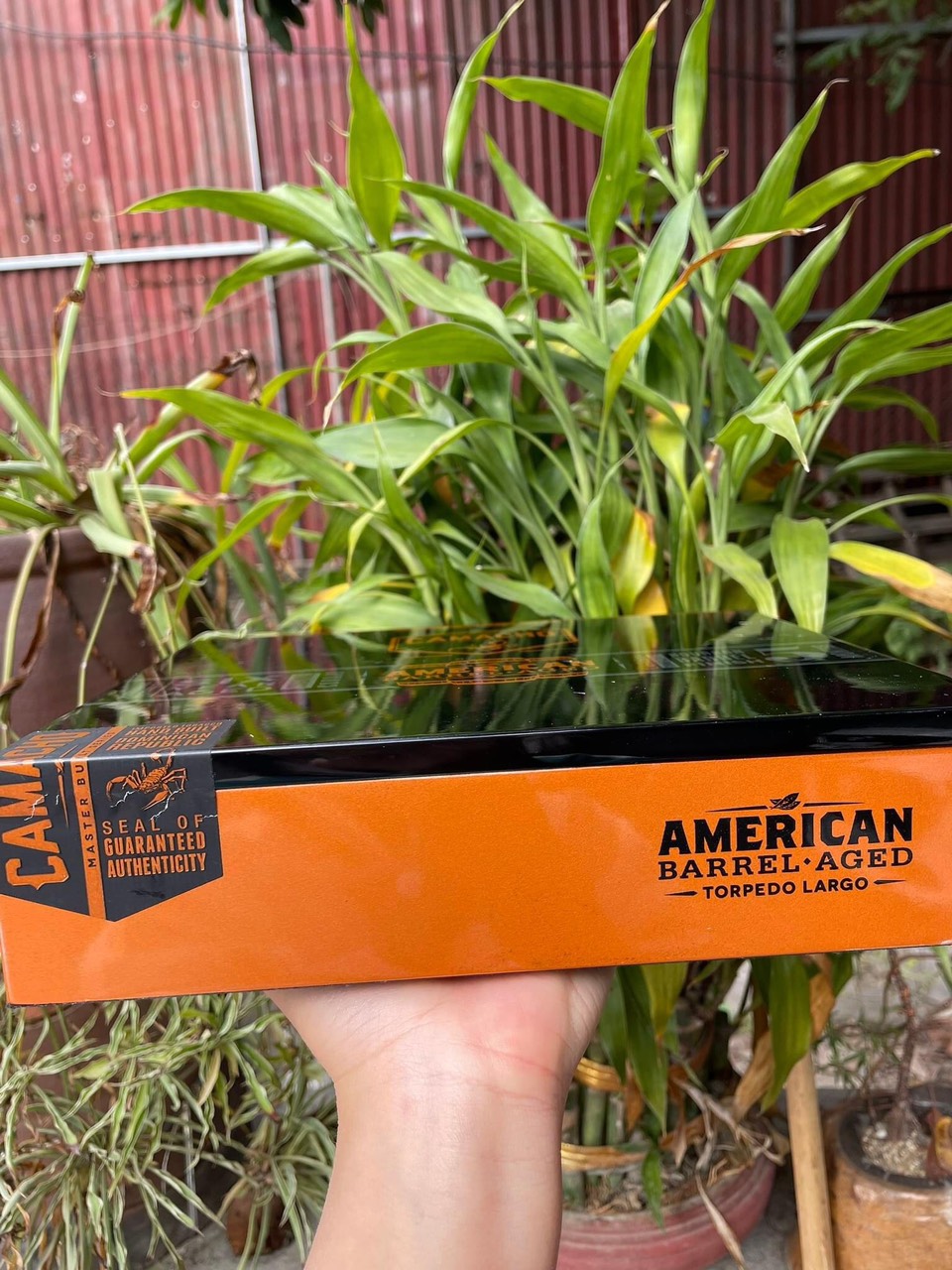 z3992533182595_1ed7fdc82c02cd6de650c223284cd162