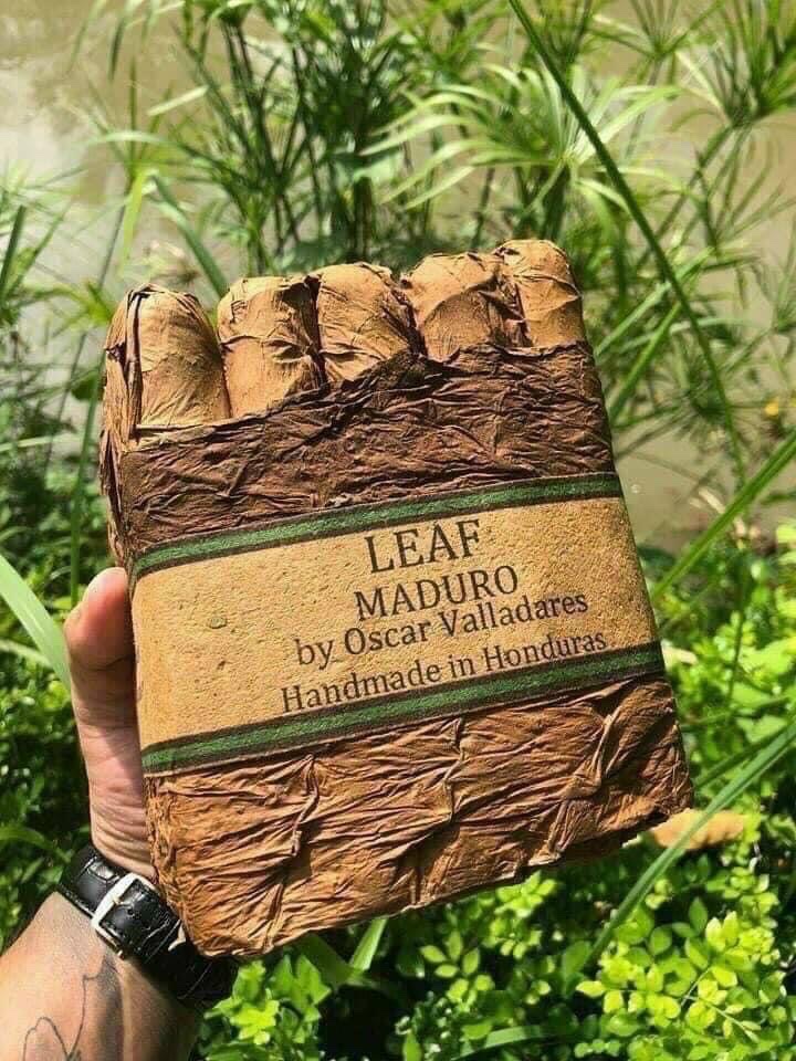 z5664814271041_ff184d3b99666abb0112877091a033c5