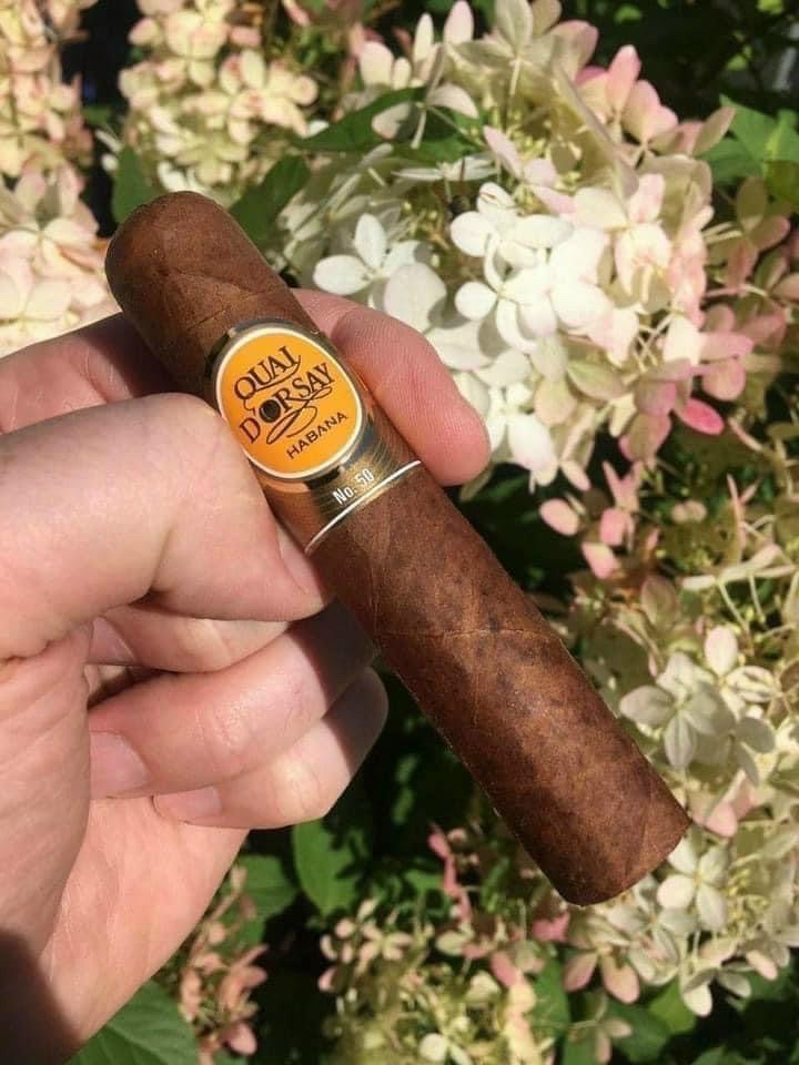 Quai D'Orsay No.50 Hộp 10 Điếu